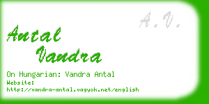 antal vandra business card